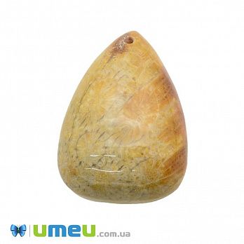 Подвеска из натурального камня Коралл окаменелый, Капля, 36х26 мм, 1 шт (POD-033051)