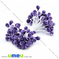 Тычинки на нитке в сахаре, Фиолетовые, 1 пучок (DIF-014992)