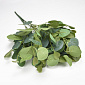 Ветка эвкалипта, Зелёная, 42 см (DEC-062133)