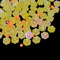 Бусины чешское стекло Preciosa 92-Mix-Flower8-Yellow/Orange (BUS-054982)
