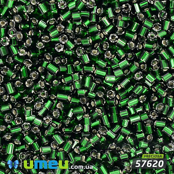 Бисер чешский Рубка 10/0, №57620, Зеленый темный блестящий, 5 г (BIS-022171)