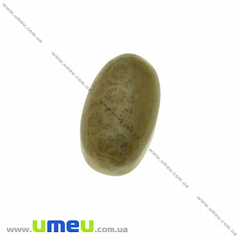 Кабошон нат. камень Коралл окаменелый, Овальный, 21х12 мм, 1 шт (KAB-023939)