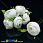 /p15404-pion-tkaneviy-40-mm-beliy/
