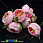 /p15411-pion-tkaneviy-40-mm-rozoviy/