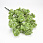 /p54157-vetka-dekorativnaya-34-sm-salatovaya/
