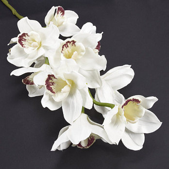 Гілка орхідеї, 80 см, Біла (DIF-062110)