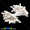 /p14989-tichinki-na-nitke-bolshie-belie/