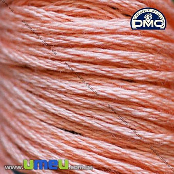 Мулине DMC 0352 Кораллово-красный, св., 8 м (DMC-005852)