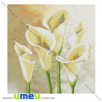 Схема для виш. бісером VDV, Кали Т-443, 40х40 см (SXM-029262)