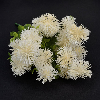 Букет кульбаб з евкаліптом, 28 см, Кремовий (DIF-057773)