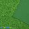 /ru/p47623-foamiran-glitterniy-kitay-20x30-sm-zeleniy/