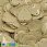 /p37873-payetki-indiya-serdce-17x17-mm-bezhevie/