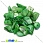 /p12615-skol-naturalniy-kamen-perlamutr-zeleniy-8-17-mm/