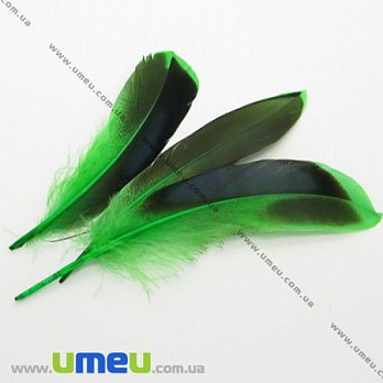 Перья Утиные, Зеленые, 10-12 см, 1 уп (10 шт) (PER-001766)