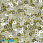 /p37551-payetki-indiya-kruglie-ploskie-2-5-mm-zheltie/