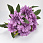 /ru/p62571-buket-georgin-48-sm/