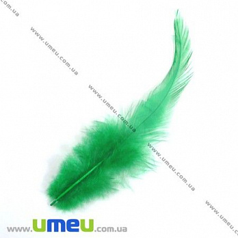 Перья Петуха, Зеленые, 7-12 см, 1 уп (12 шт) (PER-002616)
