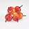 /ru/p62778-yablochki-na-provoloke-27x22-mm/