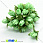 /p15476-tyulpan-tkaneviy-10-mm-myatniy/