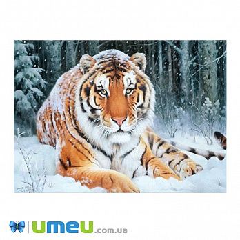 Набор алмазной живописи Зима. Тигр, 35х25 см, 1 набор (SXM-039563)