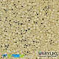 Бісер японський Miyuki Delica 11/0 DB157, Кремовий AB (BIS-038852)