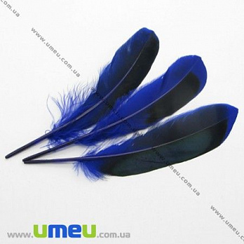 Перья Утиные, Синие (Ультрамарин), 10-12 см, 1 уп (10 шт) (PER-005010)