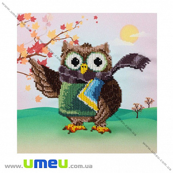 Схема для виш. бісером VDV, Вчена сова Т-883, 21х21 см (SXM-029345)