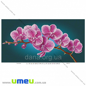 Схема для выш. бисером Dana, Ветка орхидеи DANA-511, 56х30 см, 1 шт (SXM-034485)