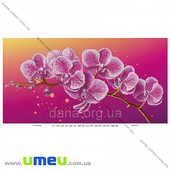 Схема для выш. бисером Dana, Ветка орхидеи DANA-510, 56х30 см, 1 шт (SXM-034484)