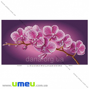 Схема для виш. бісером Dana, Гілка орхідеї DANA-512, 56х30 см (SXM-034486)