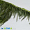 /p38935-perya-petuha-na-lente-8-15-sm-olivkovie/