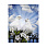 /ru/p52387-nabor-almaznoy-zhivopisi-na-podramnike-30x40-sm-vlyublyennie/