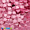 /p37844-payetki-indiya-cveti-18x25-mm-rozovie/