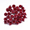 /p52683-kalina-v-sahare-12-mm-krasnaya/