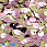 /p37435-payetki-indiya-kruglie-ploskie-smeshyennoe-otverstie-5-mm-zolotisto-rozovie/