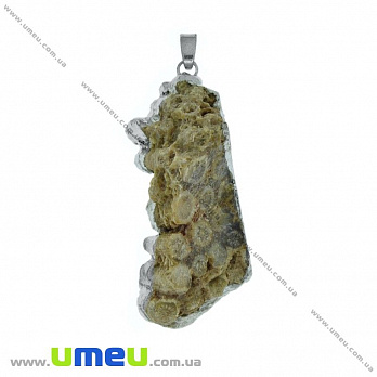 Подвеска из натурального камня в металле, Коралл окаменелый, 58х28 мм, 1 шт (POD-026068)