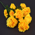 Букет гвоздики, 70 см, Желтый (DIF-057788)
