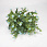 /p59298-buket-samshita-s-gipsofiloy-36-sm/