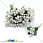 /p14610-tichinki-na-provoloke-belie/