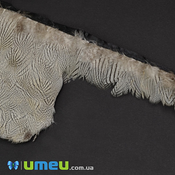 Перья фазана на ленте, 5-7 см, Белые натуральные, 10 см (PER-038980)