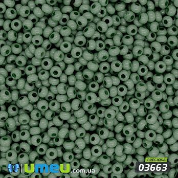 Бісер чеський №281/03663, Оливковий темний, Натуральний, 10/0 (BIS-043843)