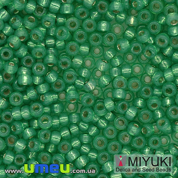Бисер японский Miyuki круглый RR 11/0 №646, Зеленый, 5 г (BIS-036708)