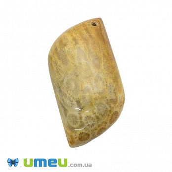 Подвеска из натурального камня Коралл окаменелый, 39х24 мм, 1 шт (POD-033030)