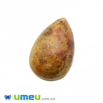 Подвеска из натурального камня Коралл окаменелый, Капля, 32х21 мм, 1 шт (POD-033066)