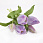 /p62559-buket-tyulpanov-32-sm/