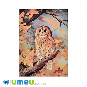 Принт для вишивання стрічками, 27х20 см (UPK-050894)