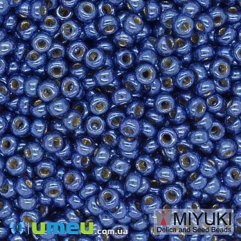 Бісер японський Miyuki круглий RR 11/0 №5117 Duracoat Galvanized, Синій (BIS-045733)