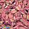 /p37905-payetki-kitay-lodochka-10x6-mm-malinovie-av/