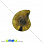 /p31644-ammonit-okameneliy-19x16x4-5-mm/