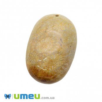 Подвеска из натурального камня Коралл окаменелый, Овальная, 35х24 мм, 1 шт (POD-033012)